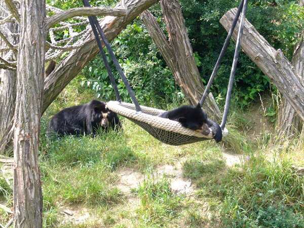 Шьонбрун - най-старата зоологическа градина в света (Schonbrunn Zoo)
